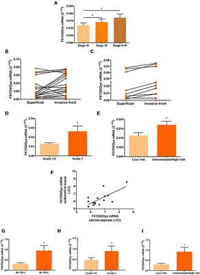 FXYD5/Dysadherin, a Biomarker of Endometrial Cancer Myometrial Invasion and Aggressiveness: Its Relationship With TGF-β1 and NF-κB Pathways